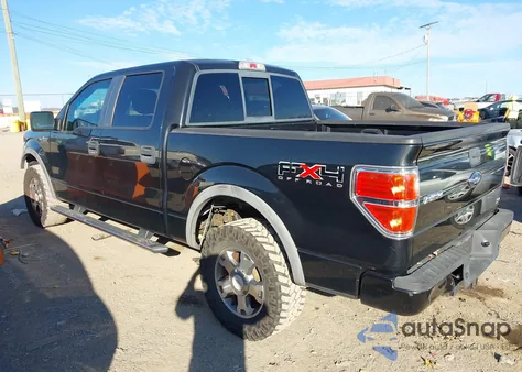2010 Ford F-150 Fx4/Harley-Davidson/King Ranch/Lariat/Platinum/Xl/Xlt z USA, uszkodzony, nr VIN 1FTFW1EV0AFC49061